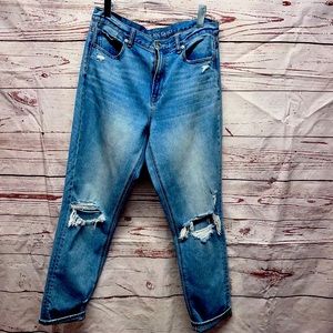American Eagle Denim Jeans Size 10 Long